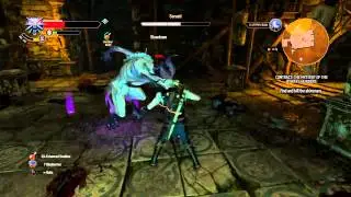 The Witcher 3: How to Kill Sarasti The Ekimmara on Death's March Difficulty Tutorial/Let's Play