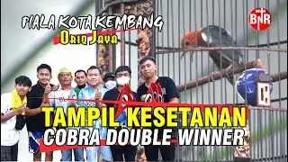 TAMPIL KESETANAN, COBRA MR ALVIN DOUBLE WINNER DI PIALA KOTA KEMBANG