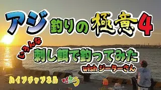 【アジ釣りの極意４】いろんな刺し餌で釣ってみた【実釣編】