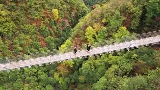 Ponte Tibetano -  Monte Carasso, Ticino (Svizzera)