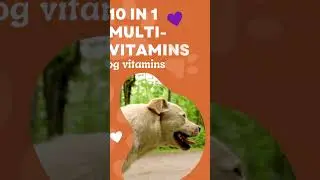 🐶 Buy PawPuk Paws 10 in 1 Multivitamins now on Amazon! 💜