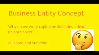 6 Business Entity Concept