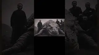 They had a lizard dragon  #ai #horror #creepy #terror #lion #giant #hailuoai #fantasy #magic