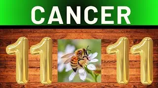 ES TAN EXACTA ESTA TAROTISTA QUE ASUSTAAAA  CANCER🦀💸👑 🙏🎁  😱📞⭐HOROSCOPO  ✅ ORACULO TAROT DE CRIS