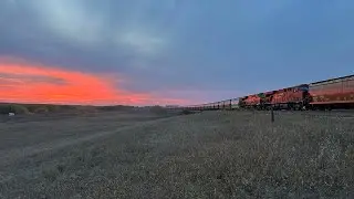 CN Wainwright Sub, CPKC Hardisty Sub around Unity, Saskatchewan - September 25, 2023