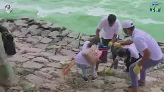 🌍 One Nation, One Mission: End Plastic Pollution | World Environment Day 2025