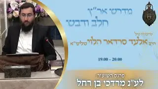 הרב אלעד סרדאר הלוי - פרשת בא