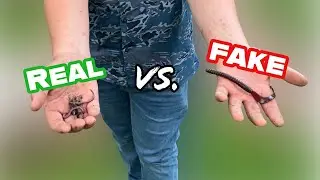 REAL worms VS FAKE worms! What will win?