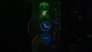 Sunda Flying Lemur in glass jar at Dubai Museum of the Future 🐾 Interactive tech reveals mystery! 🌍