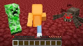 I Beat Minecraft in 3rd Person
