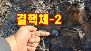 [돌 231편] 천연기념물 포항 두호동 결핵체보다는 작지만 퇴적층 안의 결핵체를 보았다.