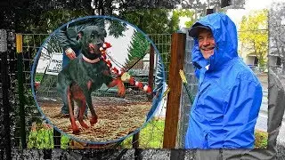 Fences For Fido 