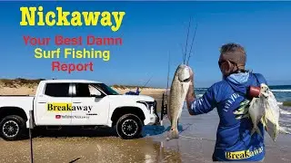 Your Best Damn Surf Fishing Report 01-27-26, Freeze threat over for the time beeing.