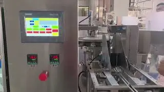 Counting Doypack Packaging Machine