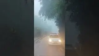 #Darjeeling #Foggy #Morning #Natural #Beautiful🥰🥰🥰