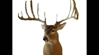 040 Milo Hanson The Hanson Buck |  Milo Hanson Special Guest |Boone & Crockett's #1 Whitetail
