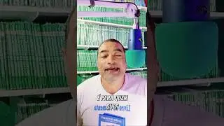 Compreens&atilde;o Profunda: Desvendando Conhecimento Essencial #shorts