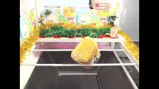 Shelly - Got [[Toreba Exclusive] Relaxing Character Guide Jumbo Plushy B]!!