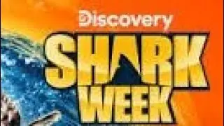Shark Week Day One July 20, 2025