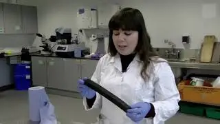 Plastic Effects on Marine Life - Corsair Ireland