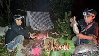 Overnight Jungle Trapping &ndash; Camping by the Stream, Catching Tadpoles & Cooking Wild Rats