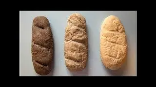 Breads Made of Powdered Crickets May Be Loaded with Bacterial Spores
