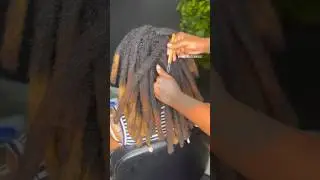 Thick locs 😍🔥 #locnation #roots #shorts #hairstyle #retwist #wicks #reels #locs  #locstyle #locs #
