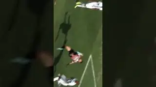 Gola&ccedil;o do calleri☠️
