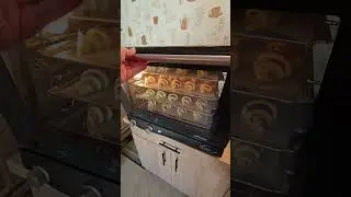 Конвекционная печь UNOX ANNA выпечка на высшем уровне!