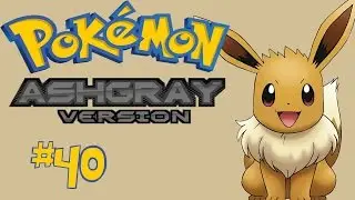 Pok&eacute;mon Ash Gray Part 40: The Battling Eevee Brothers