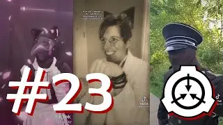 Site-42 SCP TikTok Compilation #23