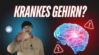 Zucker: Das schleichende Gift f&uuml;r dein Gehirn - Heilmittel Galaktose !