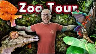 Reptile House Tour Ends in Tragedy