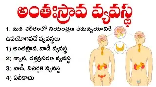 అంతఃస్రావ వ్యవస్థ | General Science Practice Bits Telugu | Biology | RRB | TTC | TET model papers