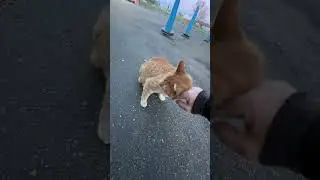 Do you know what my cat and my ex-wife have in common? ￼