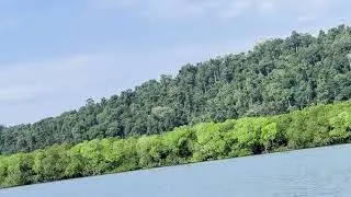 Floating Between Blue Waters & Green Shores | Andaman & Nicobar Boat Ride