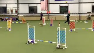 Ginger 2023 12 10 Master JWW  2nd MACH 2 QQ