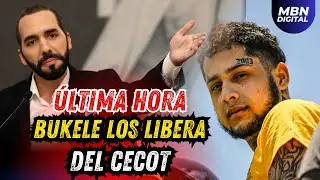 &Uacute;LTIMA HORA Presidente Nayib Bukele Los Libera del CECOT!
