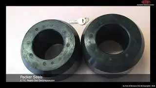Kalrez  Rapid Gas Decompression