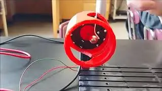 Synchronized Pendulum