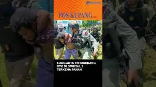 Enam Anggota TNI Diserang OTK di Dogiyai, 1 Prajurit Terkena Panah