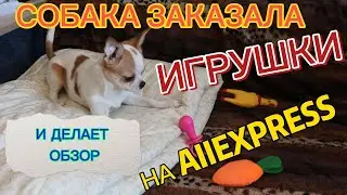 Игрушки для собак с aliexpress обзор