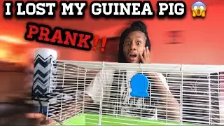 DON&rsquo;T PANIC!!!!!| I LOST MY GUINEA PIG IN THE HOUSE PRANK ON MY MOM😳😱(*She Spazzed Out)**
