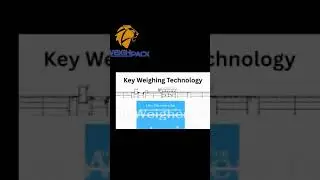 The #1 MUSHROOM WEIGHING MACHINE You Need for High-Speed Packing Line