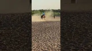 Practice with toretto #countrymusic #horse #equestrianjumping #barrelracing #rodeo