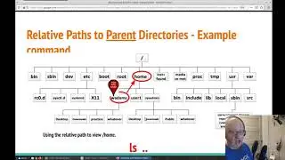 BASH Basics: Paths Part 2 - Relative Paths