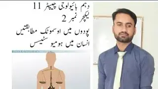 10th urdu biology/chapter no 11 /lecture no 2/osmotic adaptations in plants/homeostasis in Man