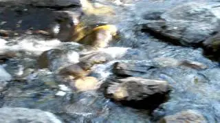 Gray Eagle Lodge Waterfall