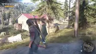 Days gone