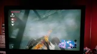 Zelda BOTW repeated sneakstrike